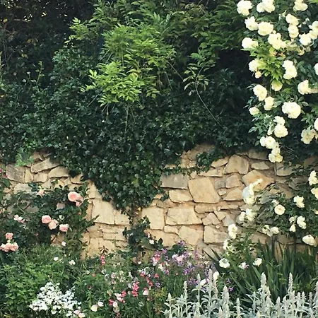 Oda ve Kahvaltı Cote Jardin Nîmes