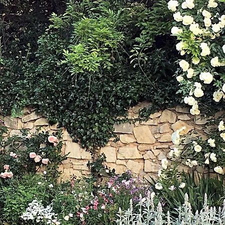 Oda ve Kahvaltı Cote Jardin 3*
